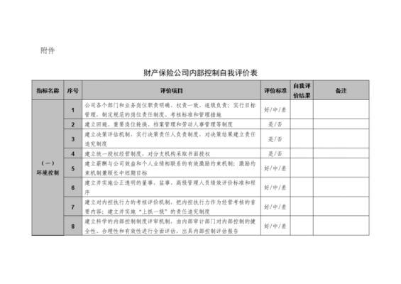 内控自我测试报告-第1张图片-马瑞范文网