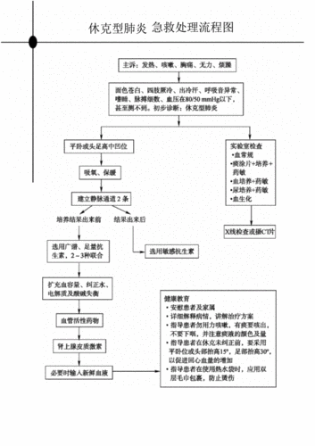 肺炎的治疗方案模板_肺炎治疗流程图-第2张图片-马瑞范文网