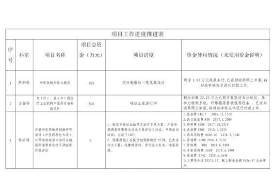 关于项目推进的模板（项目推进怎么表述）-第1张图片-马瑞范文网