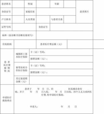 大病金申请表模板,大病补助金申请书怎么写 -第2张图片-马瑞范文网