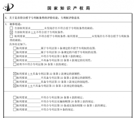 专利评估模板-第2张图片-马瑞范文网