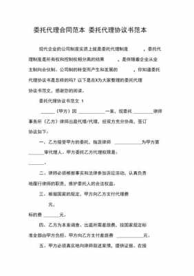 委托代理费结算方式-委托代理费合同模板-第3张图片-马瑞范文网