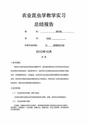 教学内容报告模板怎么写 教学内容报告模板-第1张图片-马瑞范文网