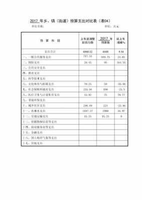 村级决算与预算的模板-第3张图片-马瑞范文网