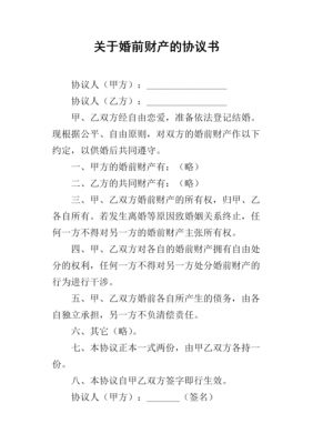 婚前共同财产协议模板_婚前共同财产协议模板怎么写-第2张图片-马瑞范文网