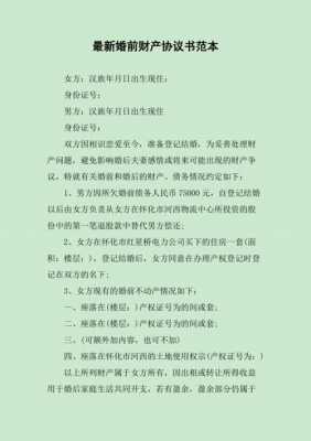 婚前共同财产协议模板_婚前共同财产协议模板怎么写-第3张图片-马瑞范文网