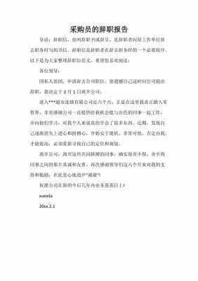 采购辞职报告模板下载（采购员辞职报告）-第3张图片-马瑞范文网