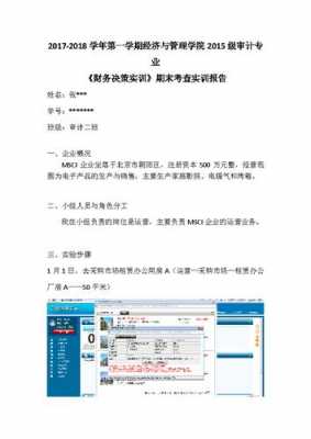 财务决策实训报告模板范文 财务决策实训报告模板-第1张图片-马瑞范文网