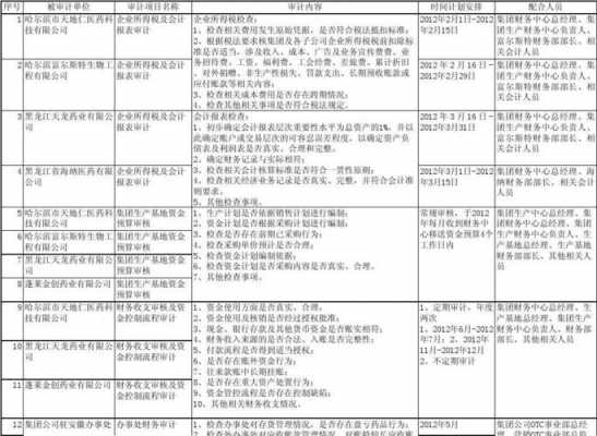 2015审计计划模板-第2张图片-马瑞范文网