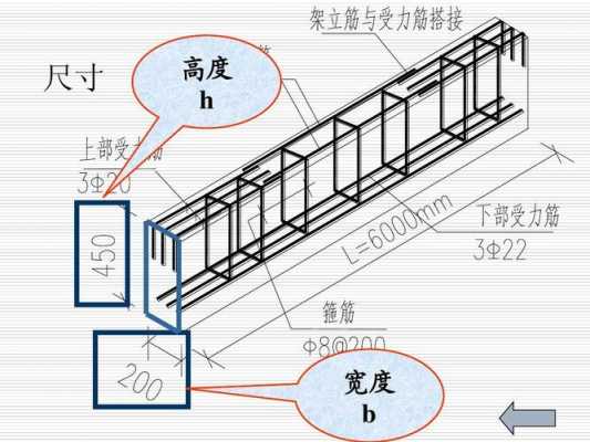 9米的梁应该配几根钢筋 9米的梁模板面积-第1张图片-马瑞范文网