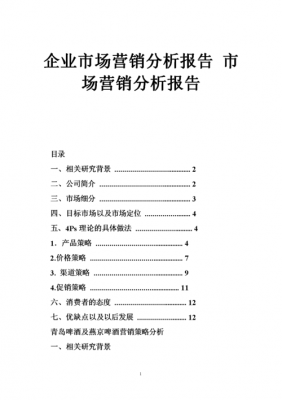 市场营销销售报告-第3张图片-马瑞范文网