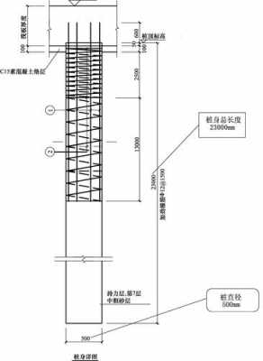 井桩图纸怎么看-井桩的模板怎么算-第1张图片-马瑞范文网