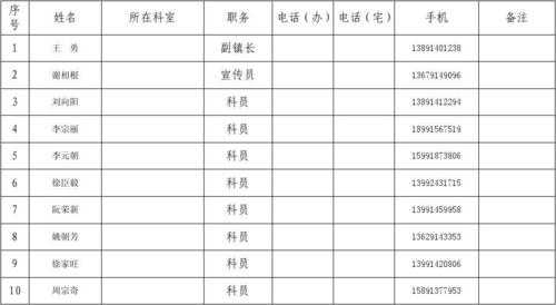 应急队伍表格模板_应急队伍名单模板-第1张图片-马瑞范文网