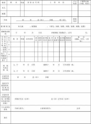 人口计生档案模板（人口计生档案模板下载）-第2张图片-马瑞范文网