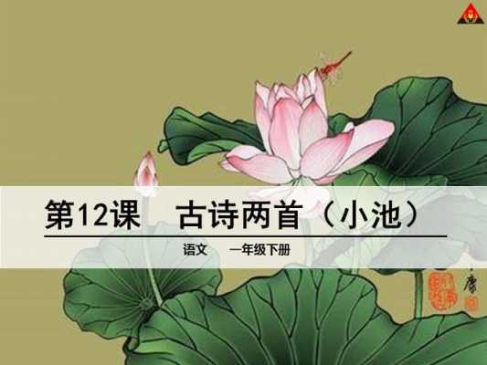 小池课件制作-ppt小池荷花模板-第3张图片-马瑞范文网