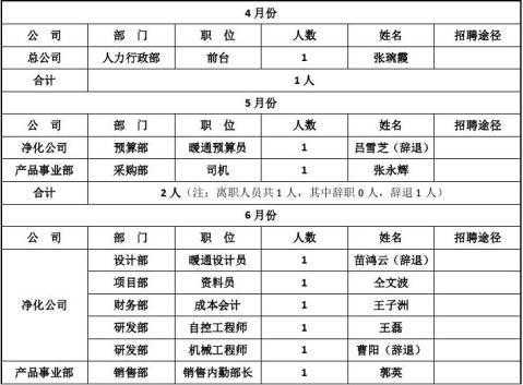 招聘总结表模板,招聘总结报告怎么写 -第2张图片-马瑞范文网