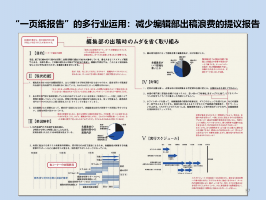 通用一页纸报告模板-第2张图片-马瑞范文网