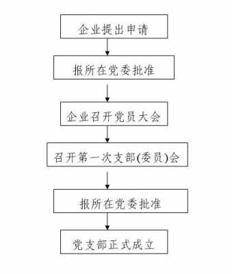  成立基层党组织模板「党的基层组织成立的工作流程」-第1张图片-马瑞范文网