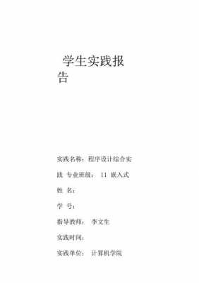 社会实践中期报告模板下载 社会实践中期报告模板-第3张图片-马瑞范文网