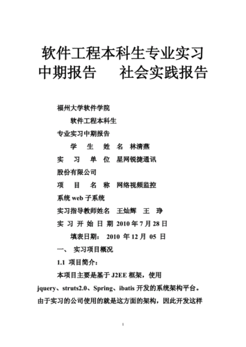 社会实践中期报告模板下载 社会实践中期报告模板-第2张图片-马瑞范文网