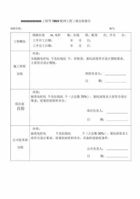 电力自检报告模板范文 电力自检报告模板-第1张图片-马瑞范文网