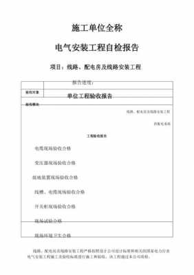 电力自检报告模板范文 电力自检报告模板-第3张图片-马瑞范文网