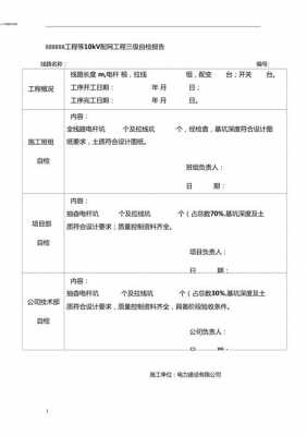 电力自检报告模板范文 电力自检报告模板-第2张图片-马瑞范文网