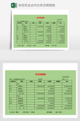 合作社收支明细表模板_合作社支出怎么做账-第2张图片-马瑞范文网