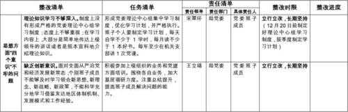 党务督查档案模板,党务督查整改报告 -第3张图片-马瑞范文网