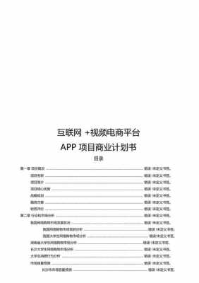 app计划书模板-第3张图片-马瑞范文网