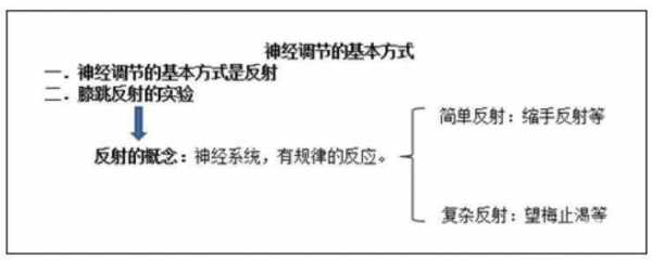 神经板书设计-第3张图片-马瑞范文网