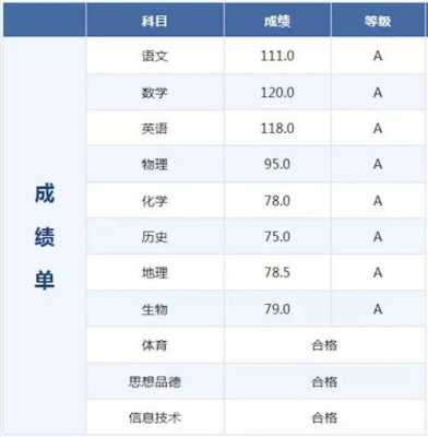 成绩报告单模板,成绩报告单模板纸如何打印 -第1张图片-马瑞范文网