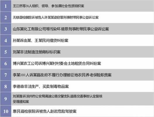  法院典型案例模板「法院典型案例模板怎么写」-第2张图片-马瑞范文网