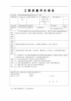  质量检查评价报告模板「质量检测评估报告」-第1张图片-马瑞范文网