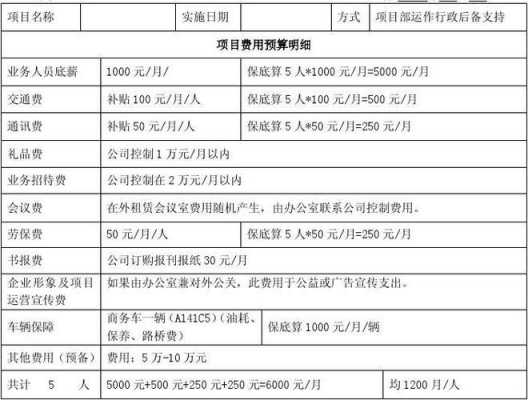 政府项目经费预算模板（政府预算项目是什么）-第2张图片-马瑞范文网