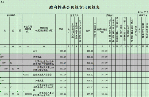 政府项目经费预算模板（政府预算项目是什么）-第3张图片-马瑞范文网