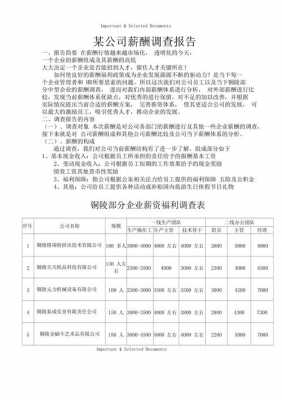 岗位薪酬调查报告模板,岗位薪酬调查报告范文 -第3张图片-马瑞范文网