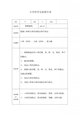 小学实验登记表模板_小学实验记录本模板-第2张图片-马瑞范文网