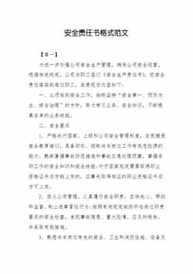 残联安全责任书模板,残疾人安全责任书 -第2张图片-马瑞范文网