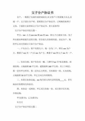 分户协议书怎么写简单-第1张图片-马瑞范文网