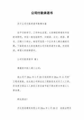 企业付款承诺书模板,公司付款承诺函模板 -第3张图片-马瑞范文网