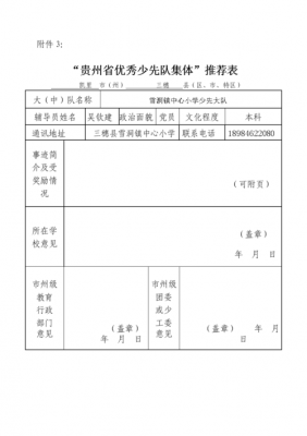 优秀少先队集体模板（优秀少先队集体材料）-第3张图片-马瑞范文网