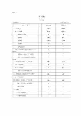 专合作社利润表模板-第3张图片-马瑞范文网