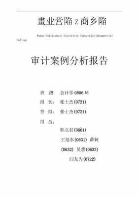 审计报告实例 审计报告分析模板下载-第1张图片-马瑞范文网