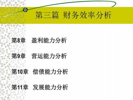 财务效率分析的概念 财务效率分析模板-第2张图片-马瑞范文网