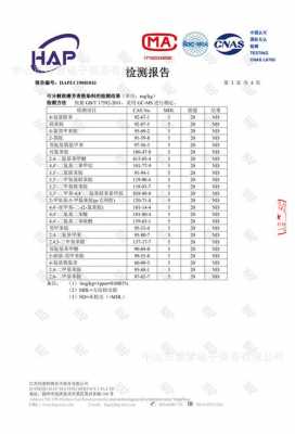  帐篷检测报告模板「帐篷检测报告模板图片」-第2张图片-马瑞范文网