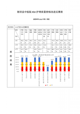 季度护理质控工作重点-季度质控分析模板-第2张图片-马瑞范文网