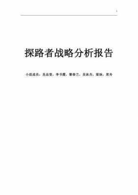  战略分析报告的模板「战略分析报告的模板范文」-第1张图片-马瑞范文网