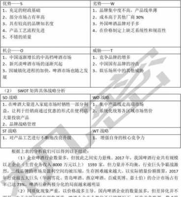  战略分析报告的模板「战略分析报告的模板范文」-第2张图片-马瑞范文网