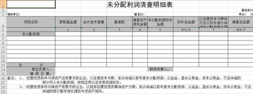 未分配利润表怎么填-未分配利润明细帐模板-第2张图片-马瑞范文网